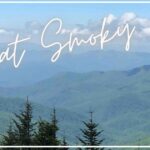 【グレートスモーキーマウンテンズ国立公園】気軽に山頂にアクセス！ビジターセンターや周辺の町について