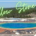 【イエローストーン国立公園】間欠泉に動物、見どころ満載！子供と回るイエローストーン