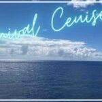 【カーニバルクルーズ２】船内でのアプリ・オプションの利用、基本情報について