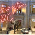 【ワシントンDC】子連れで博物館・美術館巡りのおすすめ！