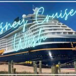 【ディズニークルーズ１】子供とWishに乗船! 予約から乗船まで